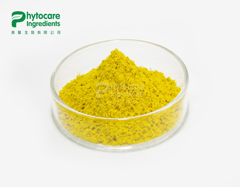 Phellodendron Bark Extract